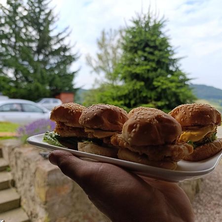 Sowi Gosciniec Wellness & Breakfast Leilighet Sokolec Eksteriør bilde