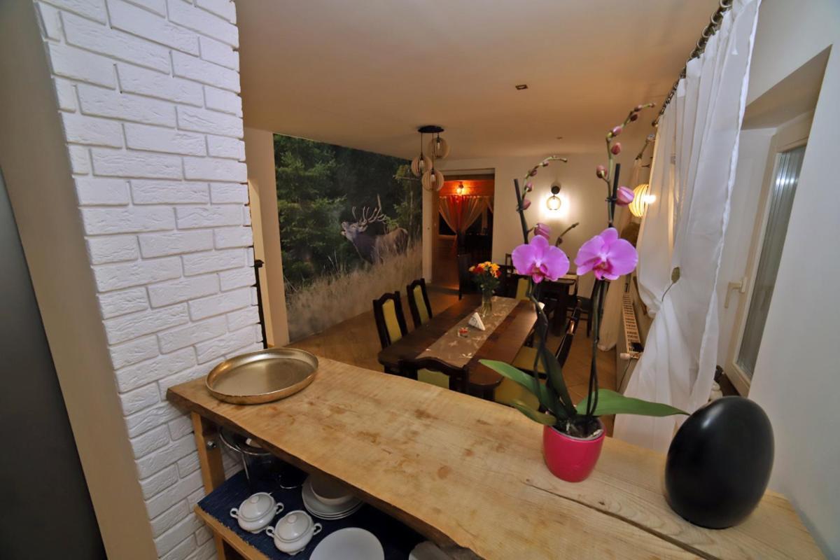 Sowi Gosciniec Wellness & Breakfast Leilighet Sokolec Eksteriør bilde
