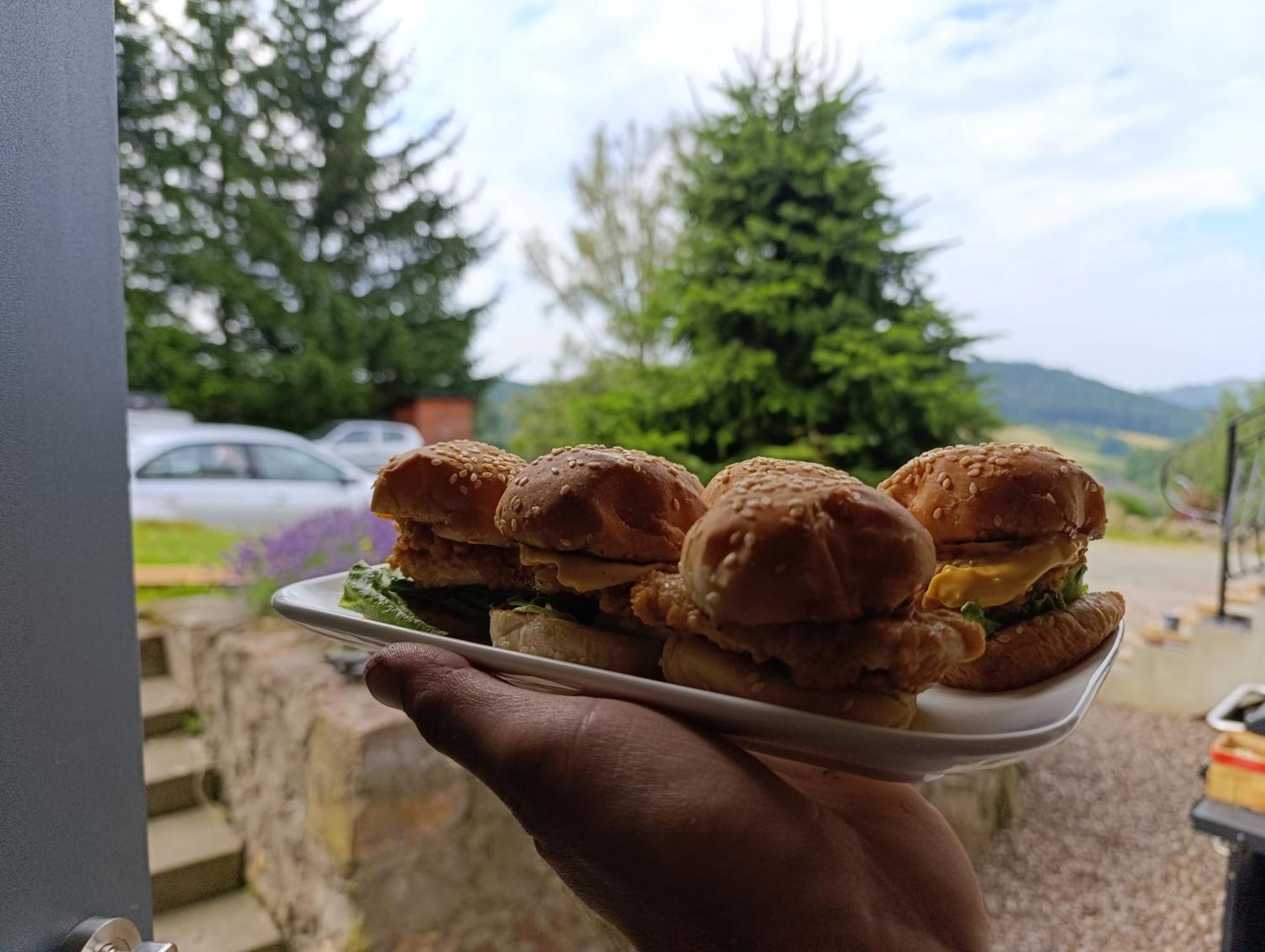 Sowi Gosciniec Wellness & Breakfast Leilighet Sokolec Eksteriør bilde